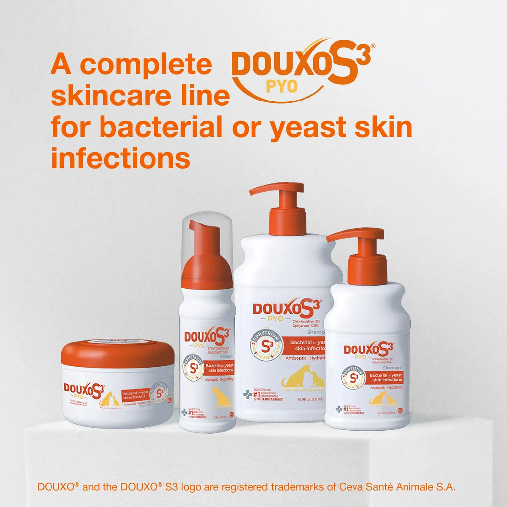 Antiseptic Pet Shampoo for Dogs and Cats with 3% Chlorhexidine Digluconate for Cleansing and Skin Hydration
