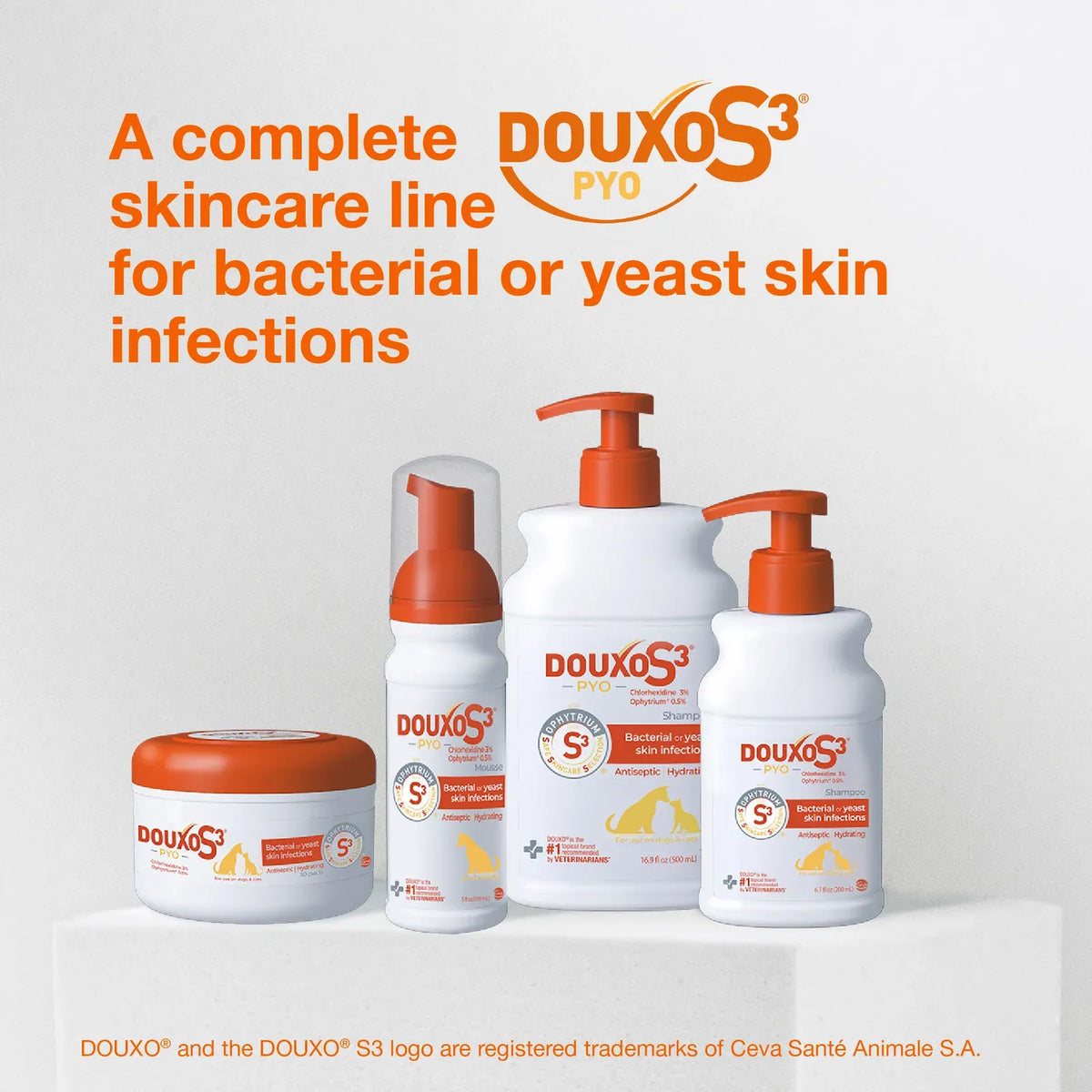 Antiseptic Pet Shampoo for Dogs and Cats with 3% Chlorhexidine Digluconate for Cleansing and Skin Hydration