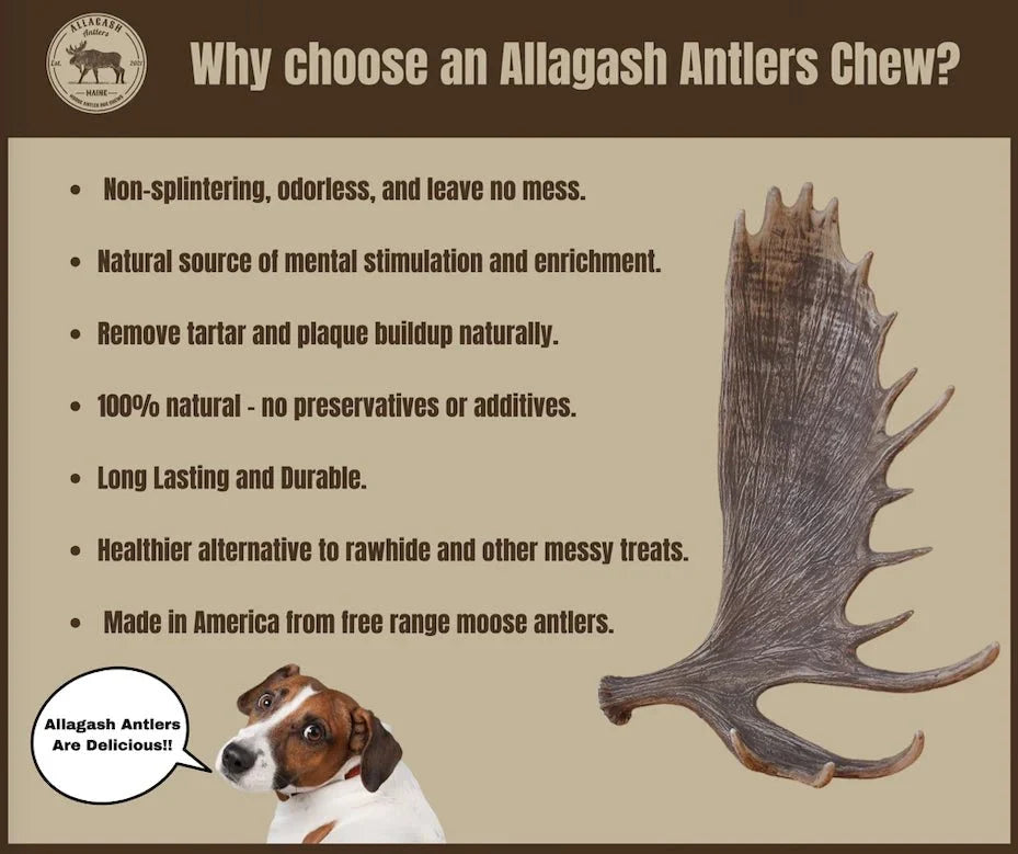 Antlers