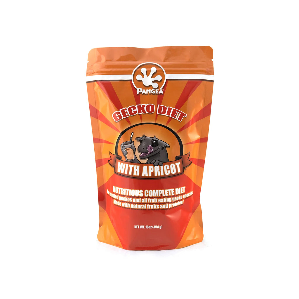 Apricot Gecko Food
