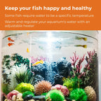 Aquarium Heater Pack with 50-Watt Adjustable Heater, Glass Thermometer and Suction-Cup Stand