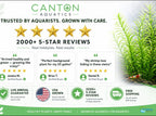 Aquarium Plants