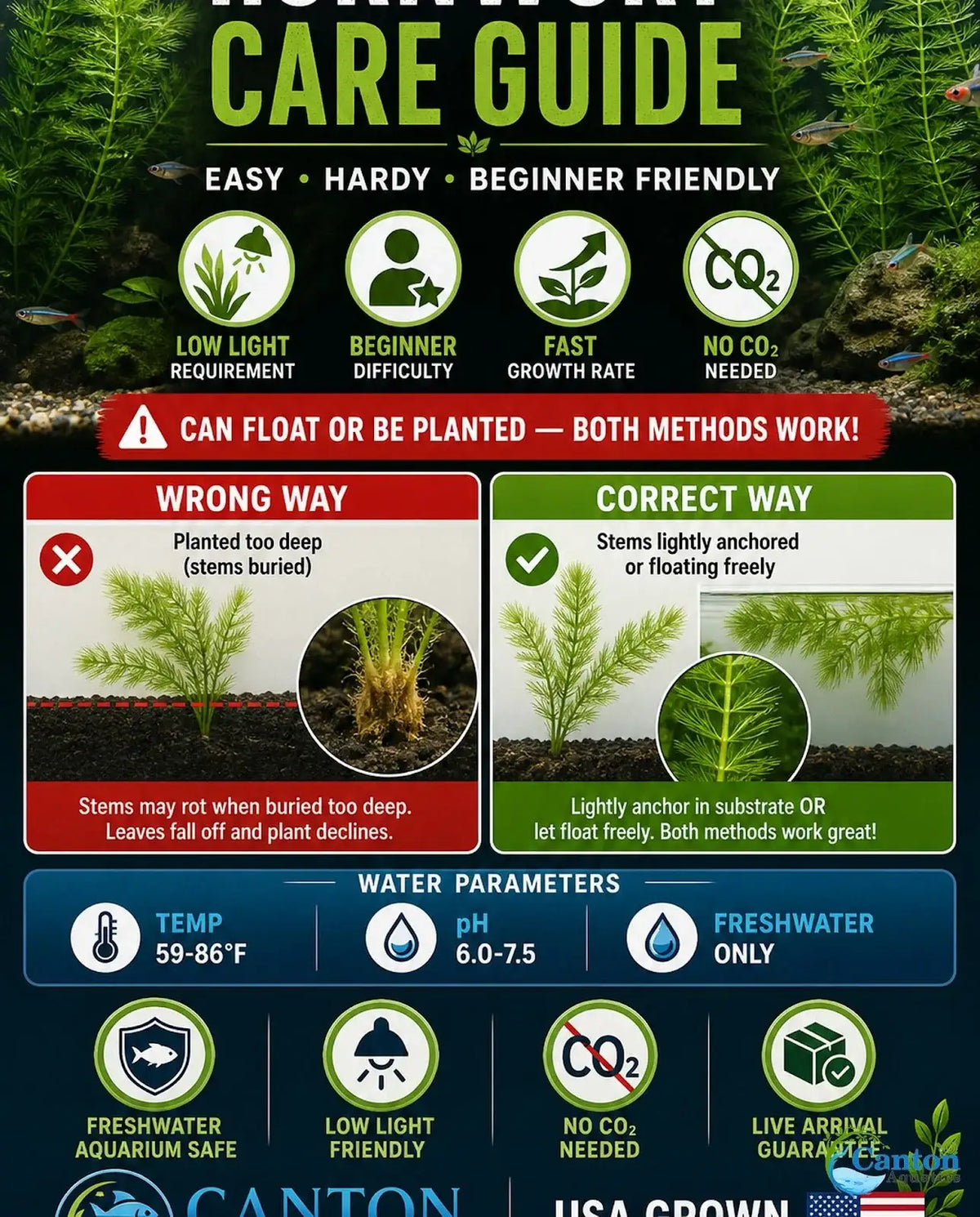 Aquarium Plants
