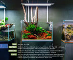 Aquarium Sand Substrate for Planted Tanks, Mojave Golden-Brown Fine 0.4–0.9 mm Granules in 3L or 8L Bags