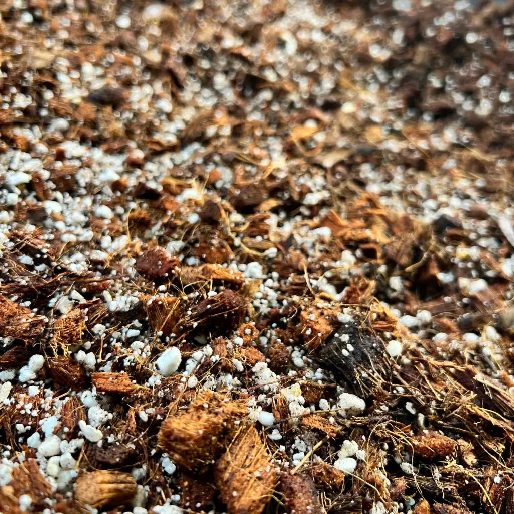 Aroid Potting Mix