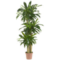 Artificial Corn Stalk Dracaena Plant