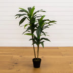 Artificial Dracaena Floor Plant, 48 Inches Tall