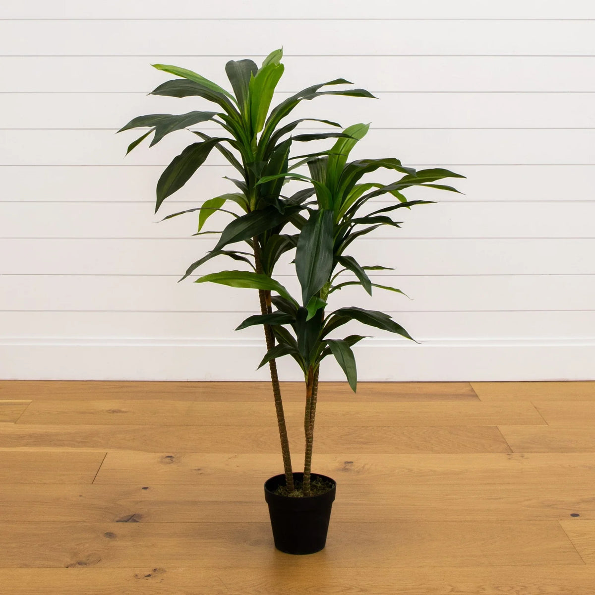 Artificial Dracaena Floor Plant, 48 Inches Tall