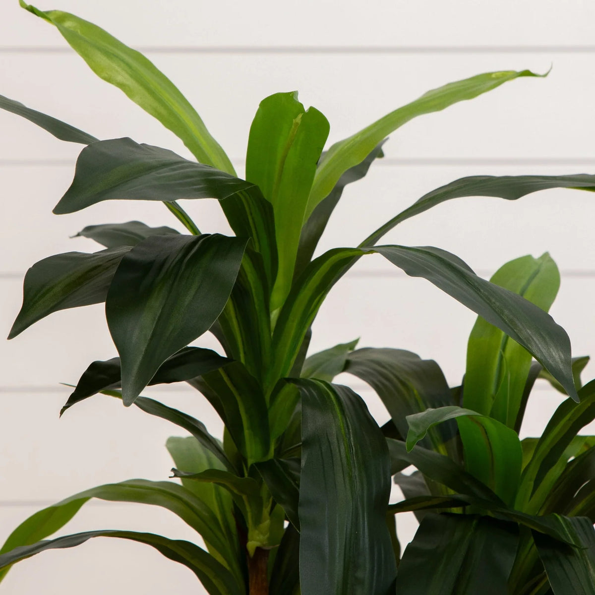 Artificial Dracaena Floor Plant, 48 Inches Tall