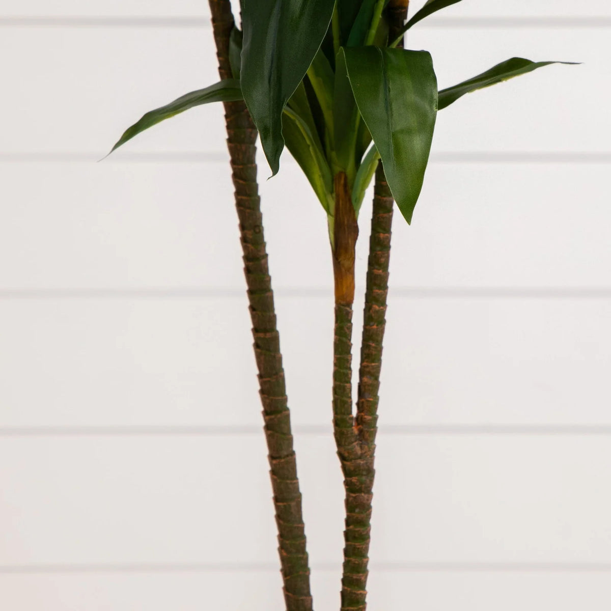 Artificial Dracaena Floor Plant, 48 Inches Tall