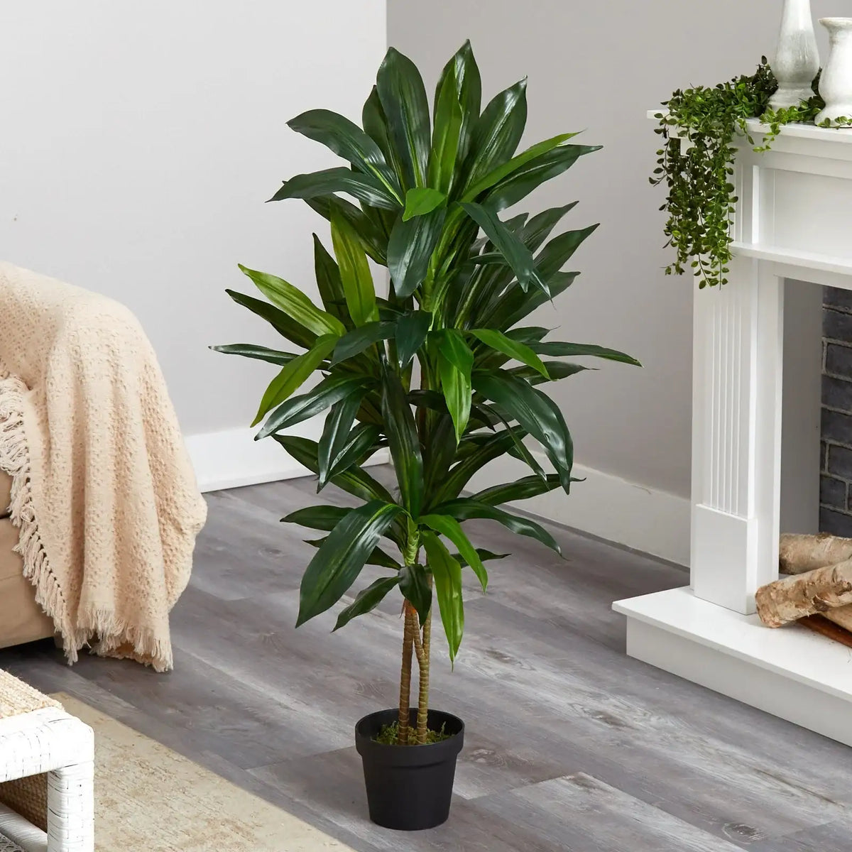 Artificial Dracaena Floor Plant, 48 Inches Tall