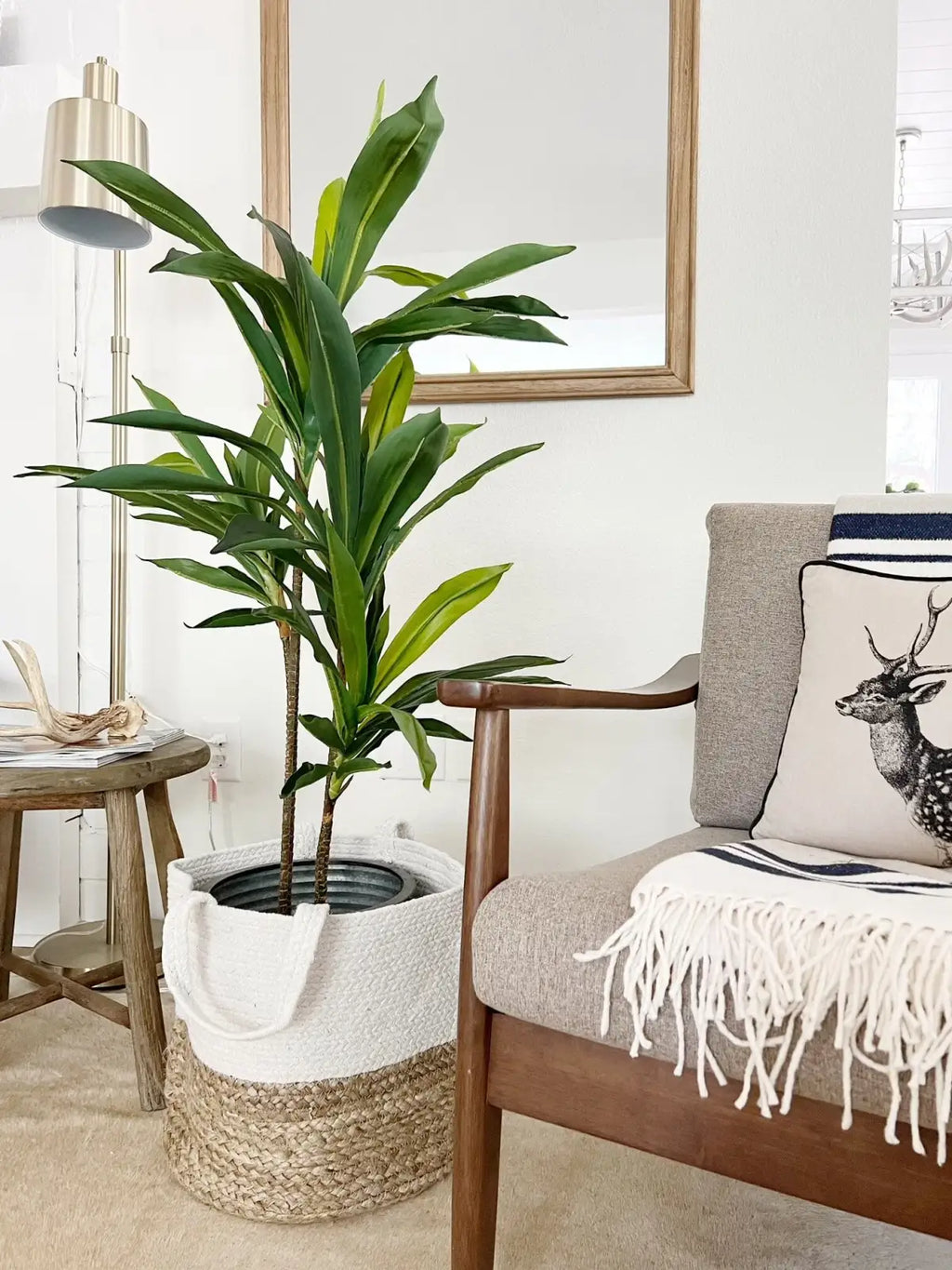 Artificial Dracaena Floor Plant, 48 Inches Tall