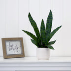 Artificial Sansevieria Snake Plant with Decorative Planter, 16-Inch Indoor Desk and Entryway Decor