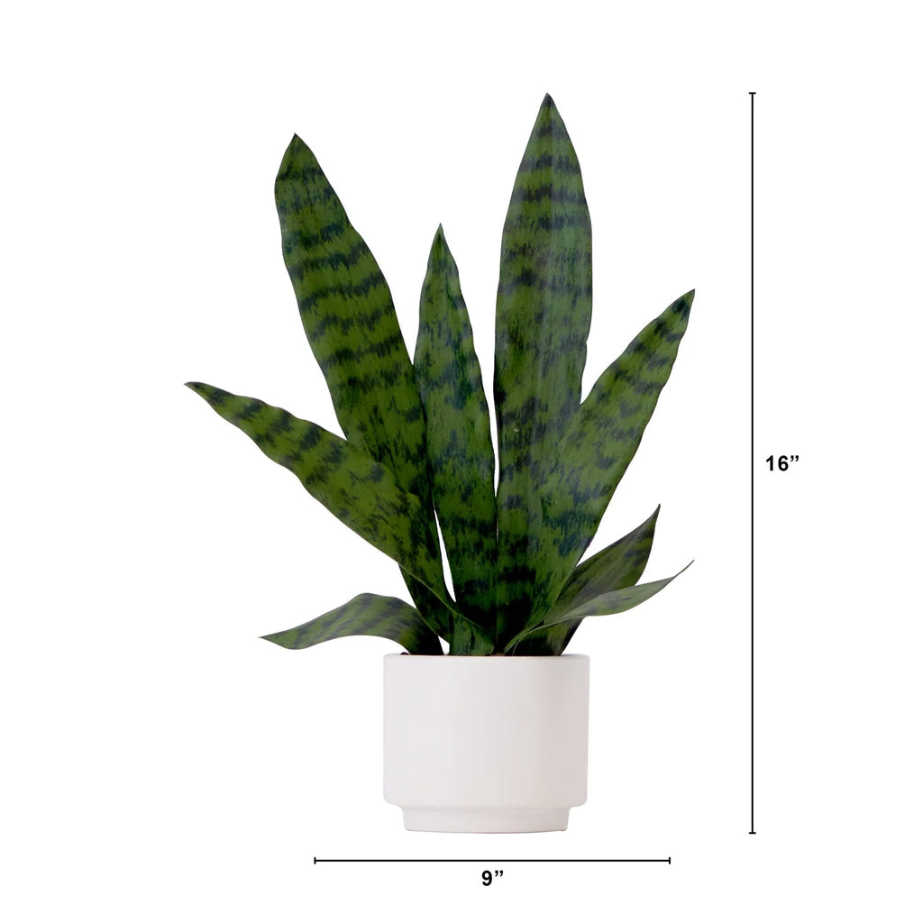 Artificial Sansevieria Snake Plant with Decorative Planter, 16-Inch Indoor Desk and Entryway Decor