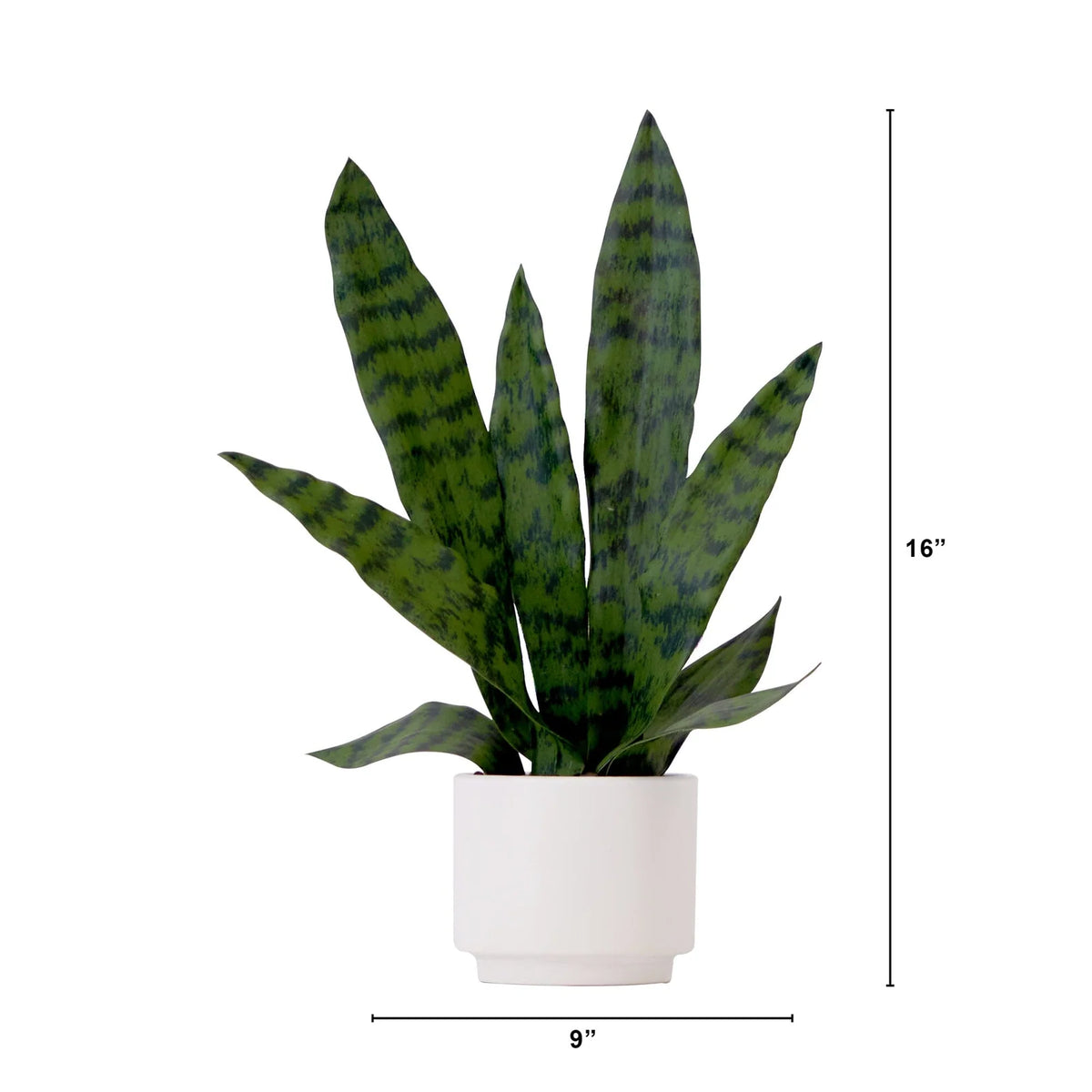 Artificial Sansevieria Snake Plant with Decorative Planter, 16-Inch Indoor Desk and Entryway Decor