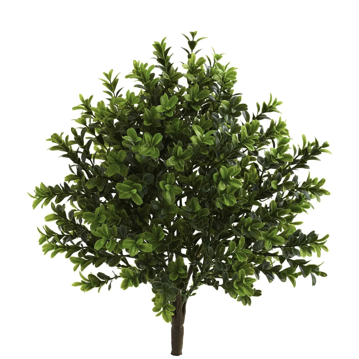 Artificial Sweet Grass Bush Set of 6