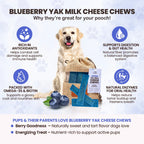 Assorted Yak Milk Dog Chews, 5-Pound Bulk Box with Mint, Strawberry, Pumpkin, Blueberry and Coconut Flavors
