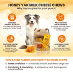 Assorted Yak Milk Dog Chews, 5-Pound Bulk Box with Mint, Strawberry, Pumpkin, Blueberry and Coconut Flavors