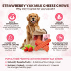 Assorted Yak Milk Dog Chews, 5-Pound Bulk Box with Mint, Strawberry, Pumpkin, Blueberry and Coconut Flavors