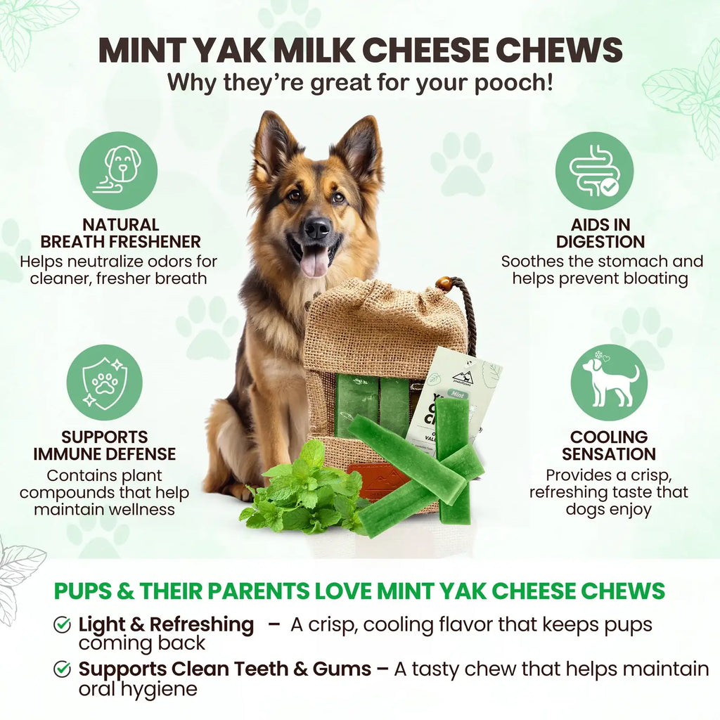 Assorted Yak Milk Dog Chews, 5-Pound Bulk Box with Mint, Strawberry, Pumpkin, Blueberry and Coconut Flavors