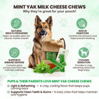 Assorted Yak Milk Dog Chews, 5-Pound Bulk Box with Mint, Strawberry, Pumpkin, Blueberry and Coconut Flavors