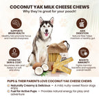 Assorted Yak Milk Dog Chews, 5-Pound Bulk Box with Mint, Strawberry, Pumpkin, Blueberry and Coconut Flavors