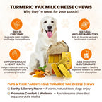Assorted Yak Milk Dog Chews, 5-Pound Bulk Box with Mint, Strawberry, Pumpkin, Blueberry and Coconut Flavors
