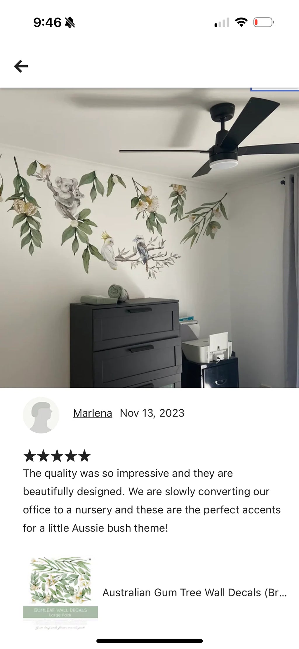 Australian Gum Tree Branch Wall Decal Set with Birds and Optional Koala, Kangaroo or Wombat Nursery Designs