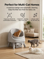 Automatic Self-Cleaning Cat Litter Box with 10L Waste Container, Quiet Operation and Removable Liner