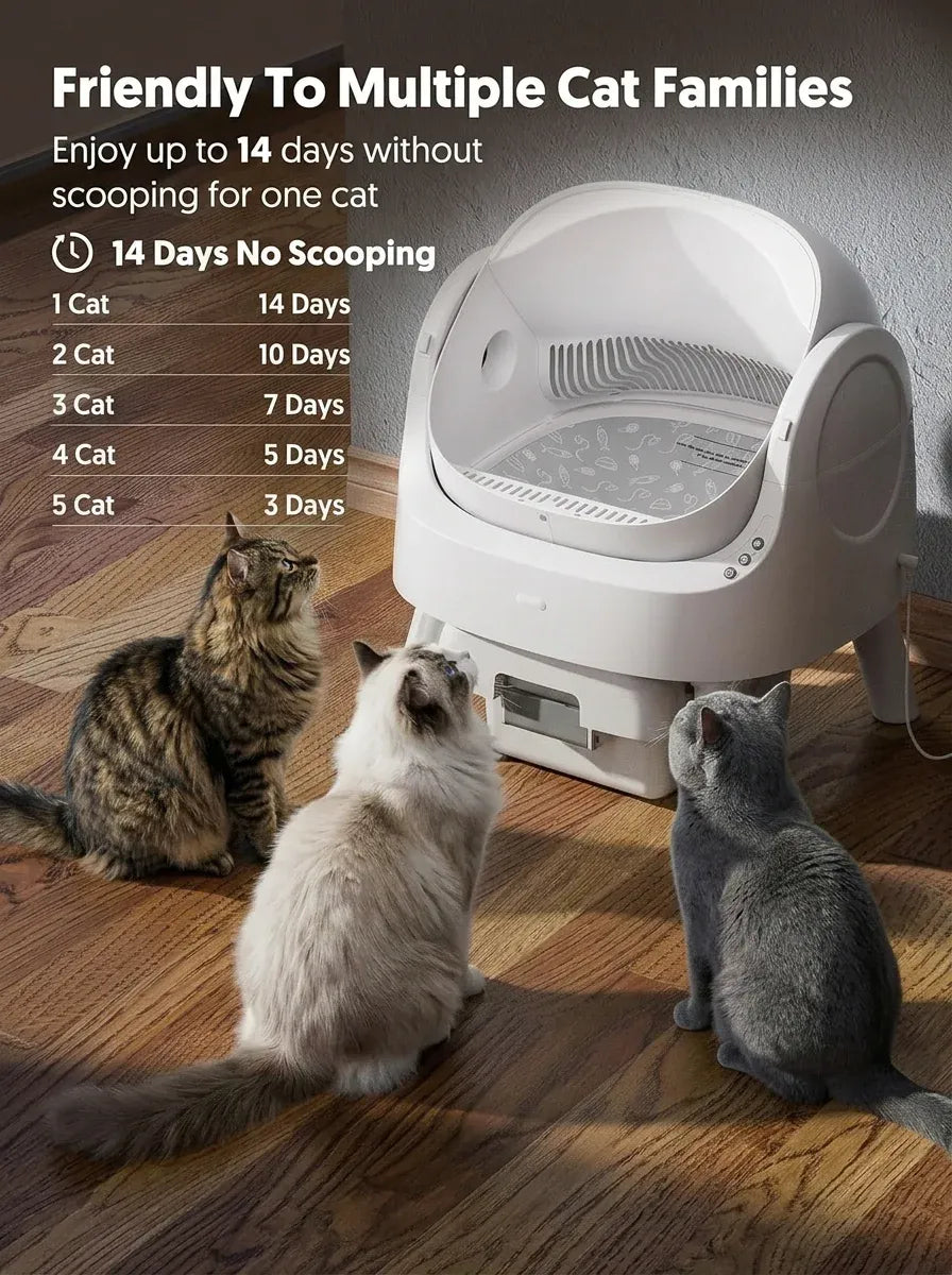 Automatic Self-Cleaning Cat Litter Box with 10L Waste Container, Quiet Operation and Removable Liner