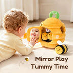Baby Beehive Sensory Toy