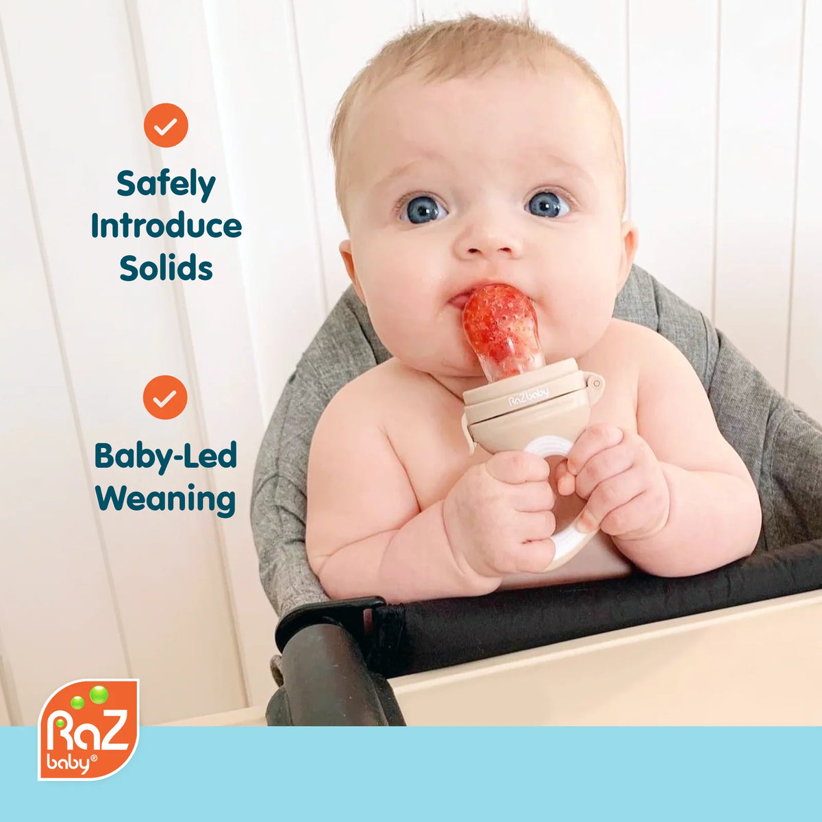 Baby Food Feeder Teethers 2-Pack