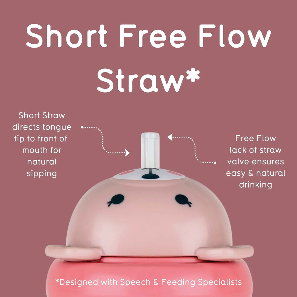 Baby Sippy Cup with Weighted Free-Flow Straw, Leakproof Flip-Top Lid and 300ml Side Measure