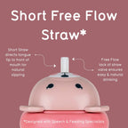 Baby Sippy Cup with Weighted Free-Flow Straw, Leakproof Flip-Top Lid and 300ml Side Measure