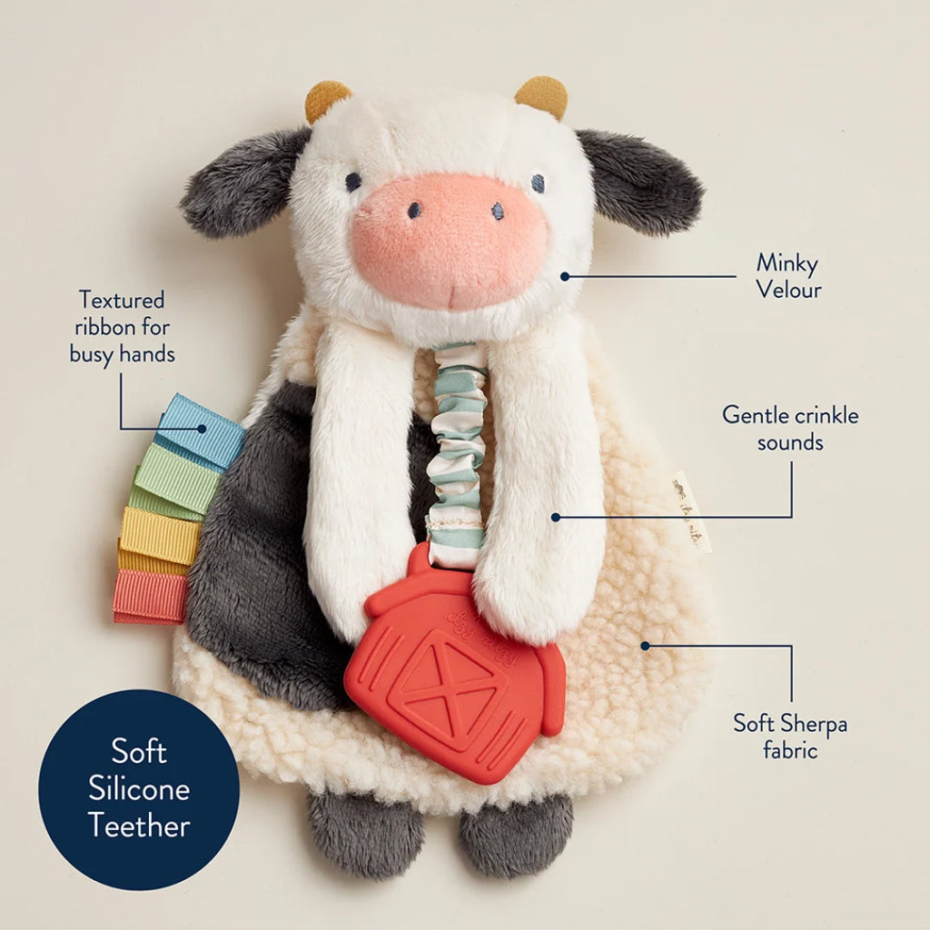Baby Teether and Plush Lovey