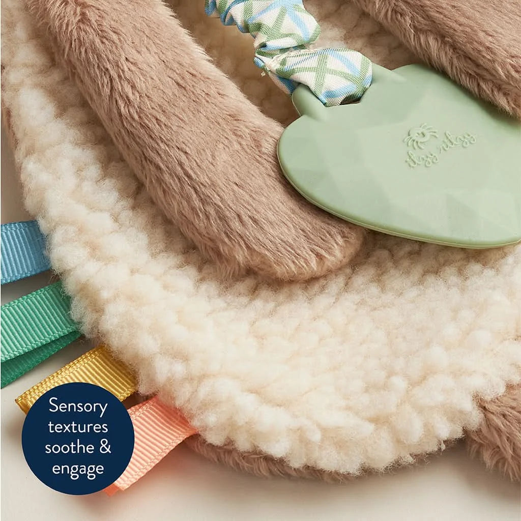 Baby Teether and Plush Lovey