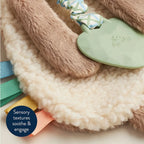 Baby Teether and Plush Lovey