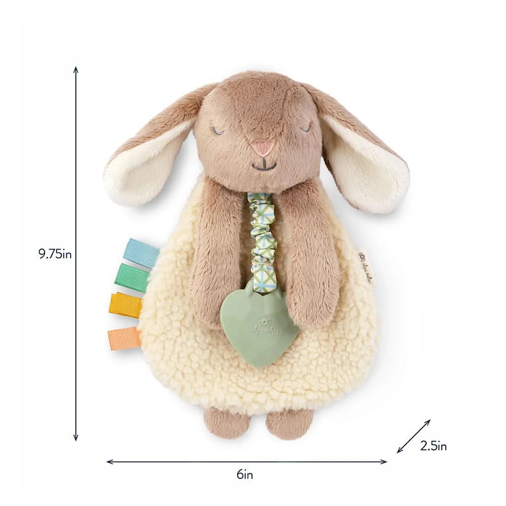 Baby Teether and Plush Lovey