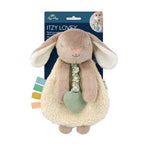 Baby Teether and Plush Lovey