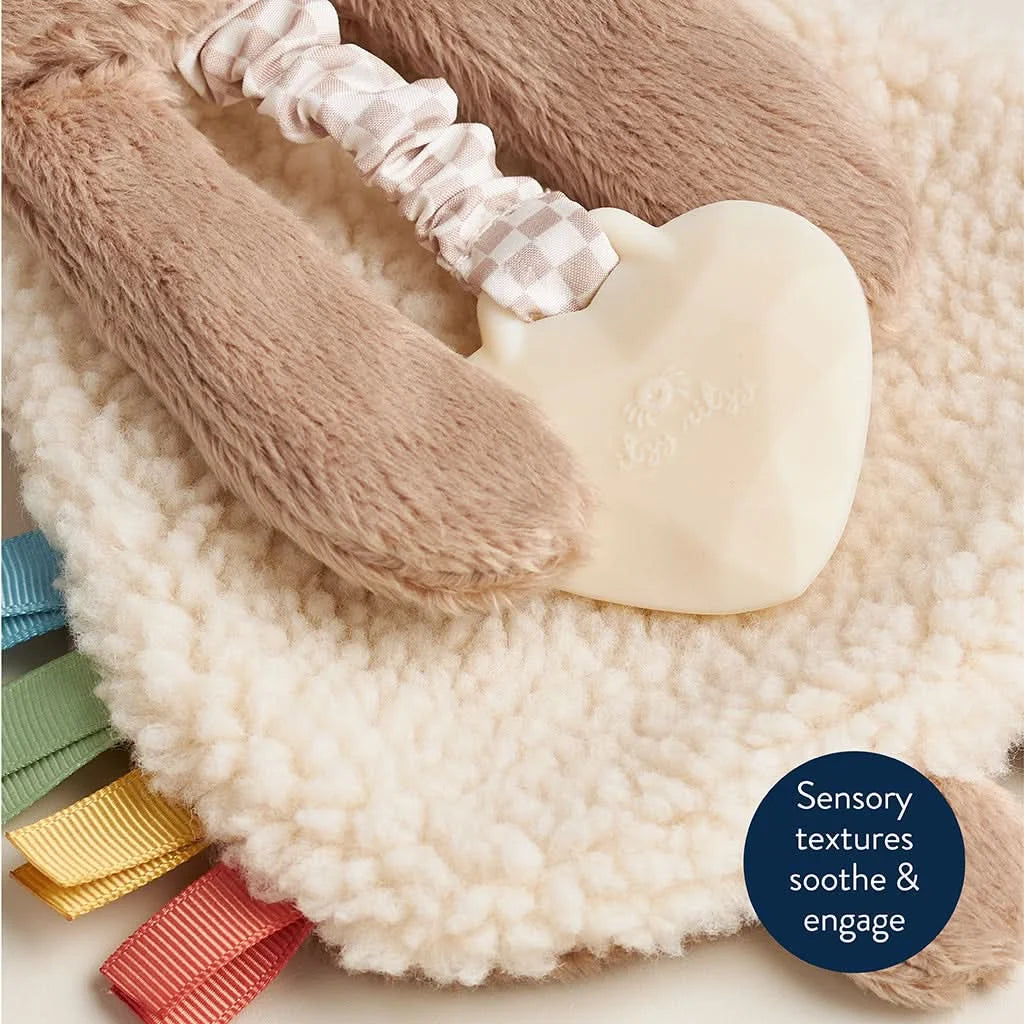 Baby Teether and Plush Lovey