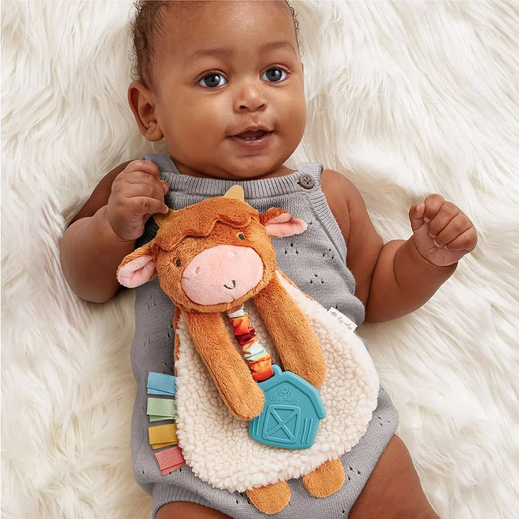 Baby Teether and Plush Lovey