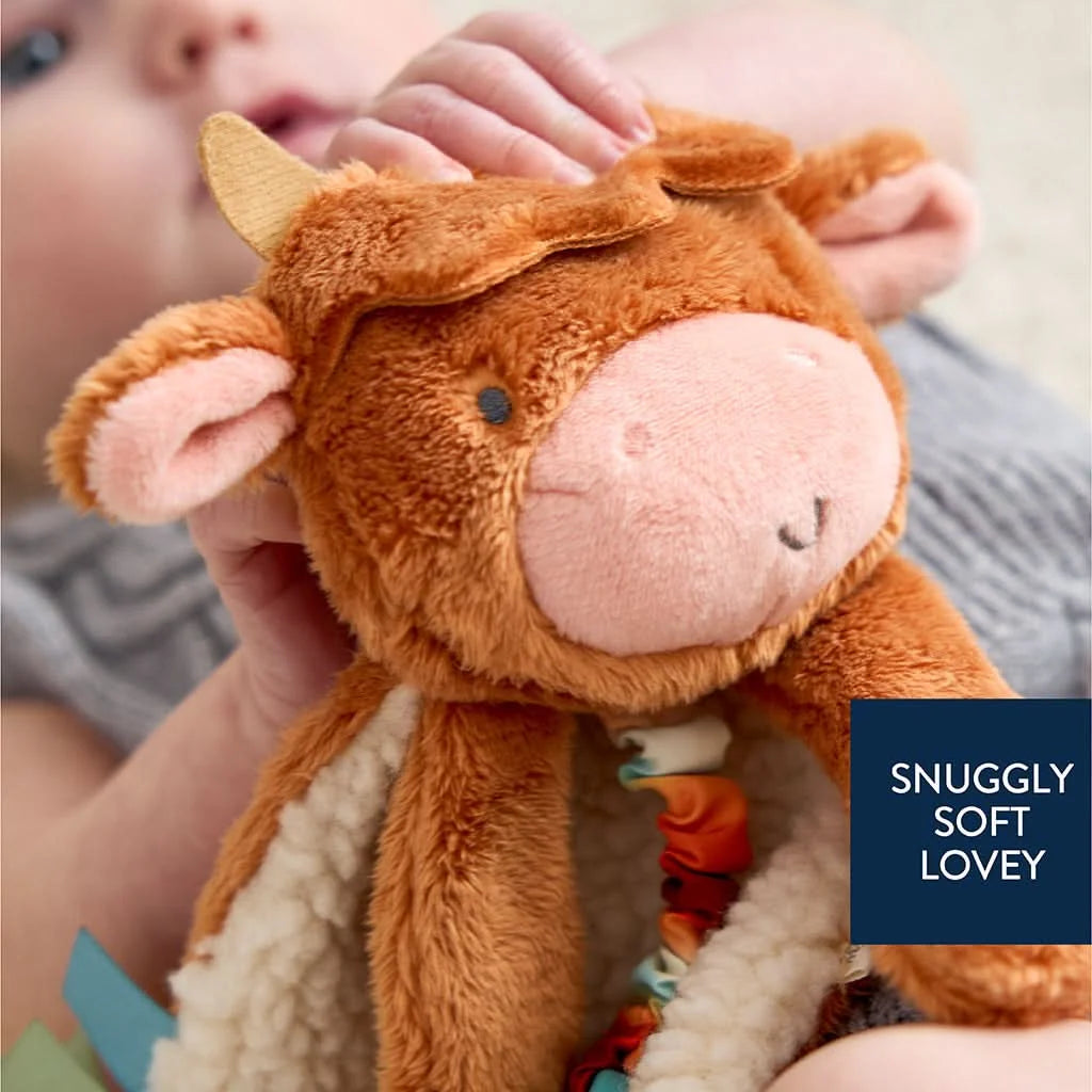 Baby Teether and Plush Lovey