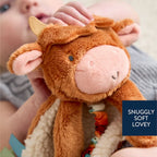 Baby Teether and Plush Lovey