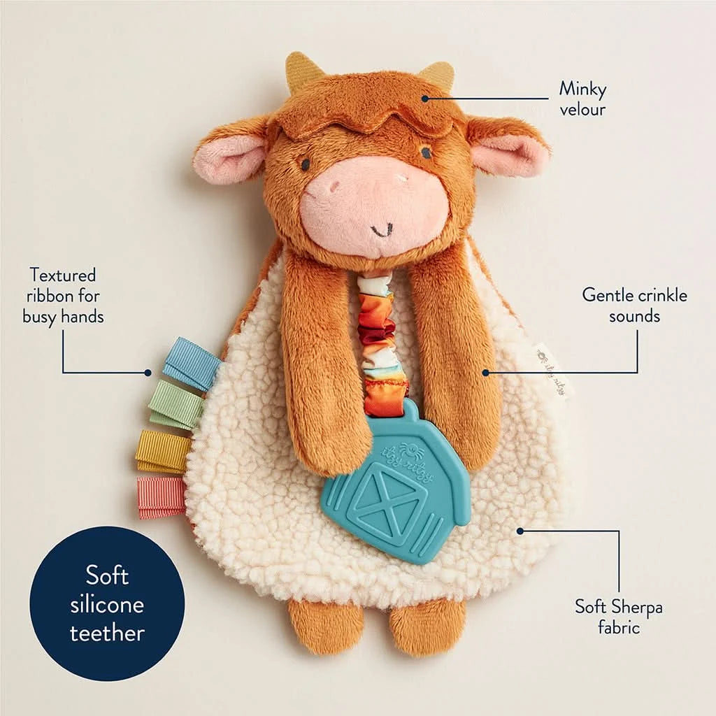 Baby Teether and Plush Lovey