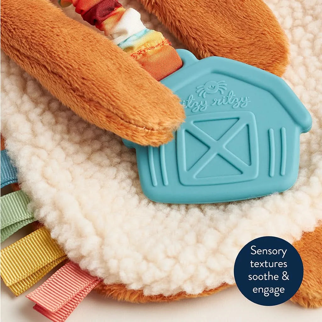 Baby Teether and Plush Lovey
