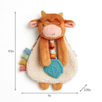 Baby Teether and Plush Lovey