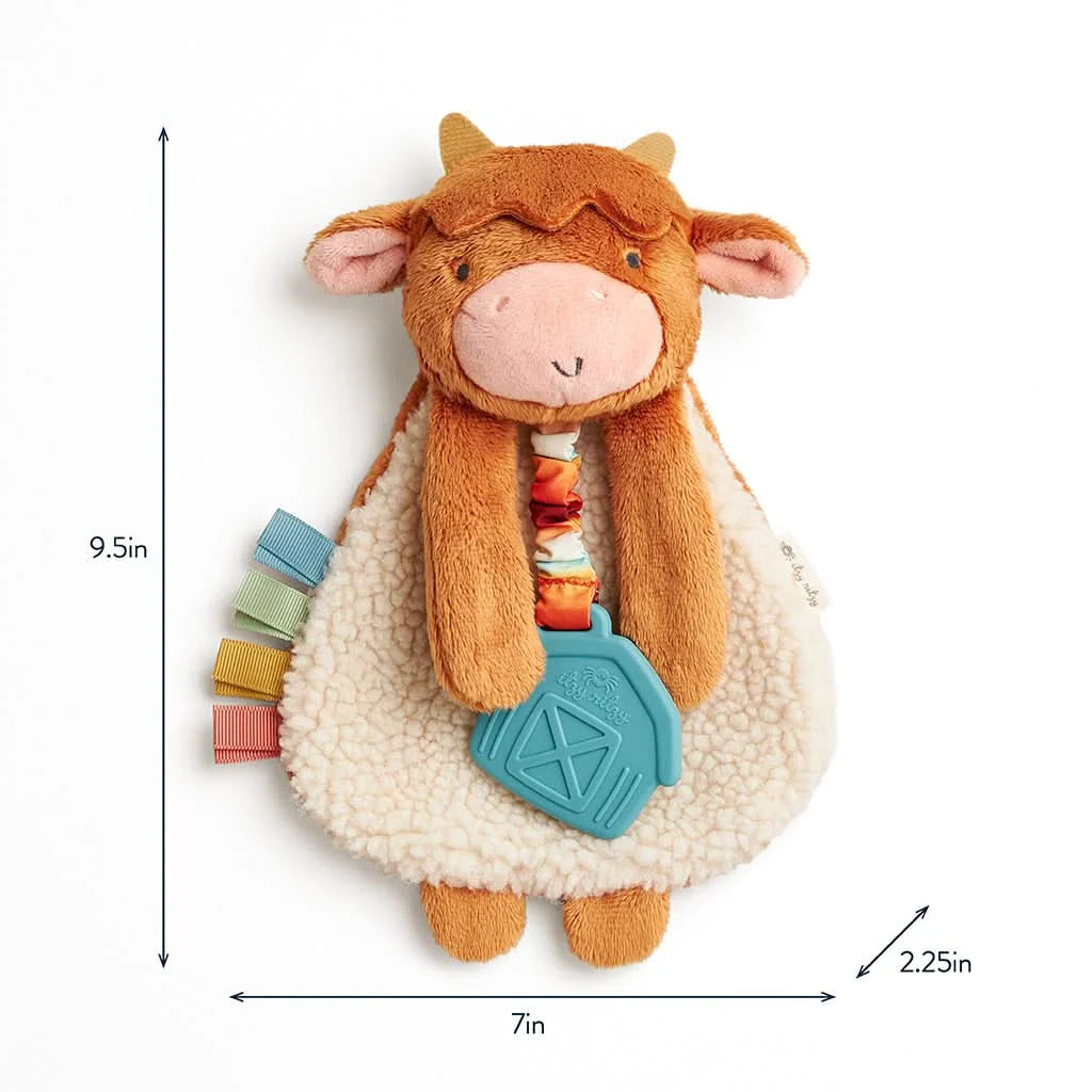 Baby Teether and Plush Lovey