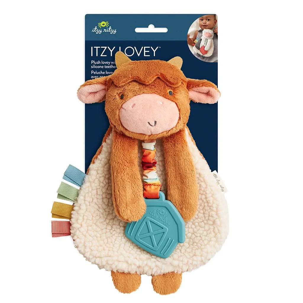 Baby Teether and Plush Lovey