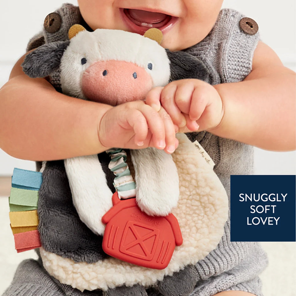 Baby Teether and Plush Lovey
