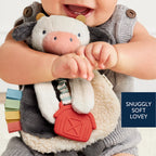 Baby Teether and Plush Lovey